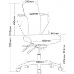 SIREN-with-Dimension