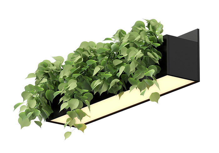 floating-garden-bed
